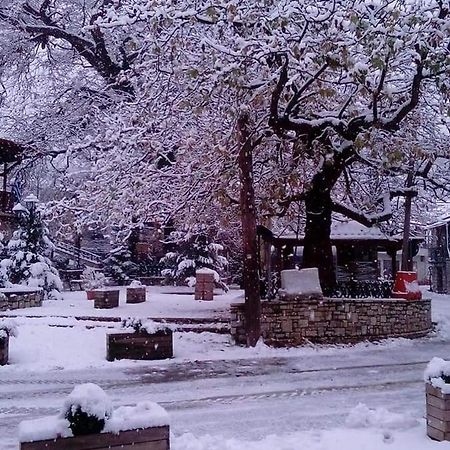 House On The Mountain Villa Eptalofos Bagian luar foto