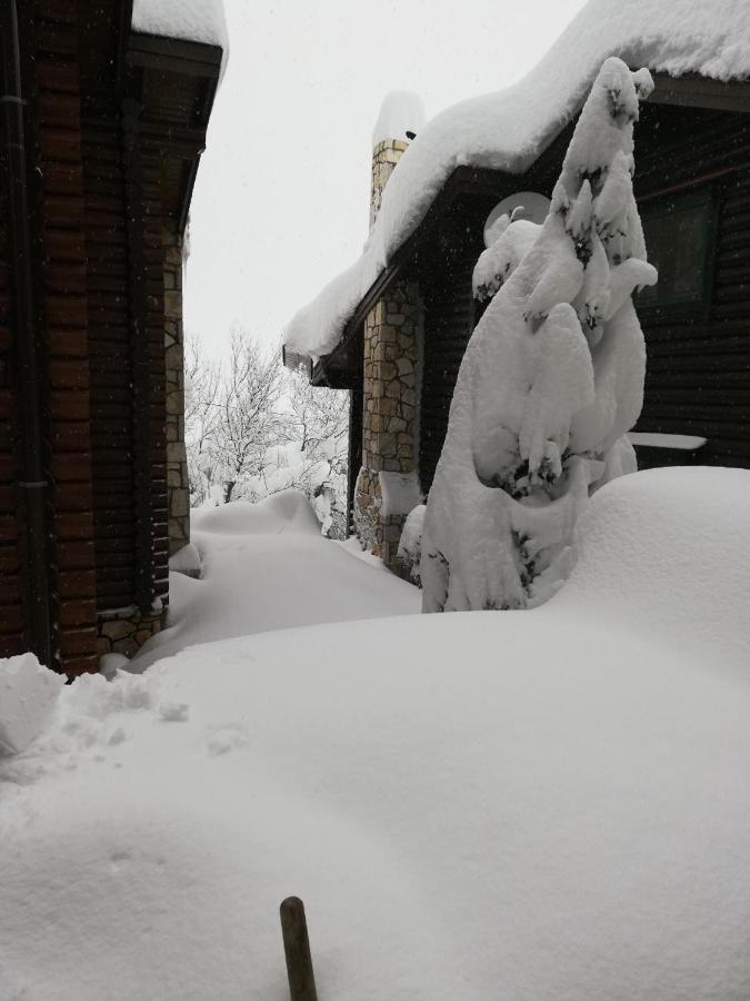House On The Mountain Villa Eptalofos Bagian luar foto